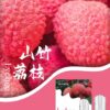 sp2s枝枝煙彈,SP2S主機,sp2s煙油,思博瑞菸油,思博瑞煙油,sp2s菸油,sp2s,思博瑞,sp2s電子煙,sp2s主機,sp2s口味,sp2s推薦,sp2s煙彈,sp2s糖果,sp2s電子菸,sp2s電子菸主機,sp2s口味推薦,sp2s購買,sp2s菸彈,sp2s電子菸購買,sp2s官網,sp2s菸彈推薦,電子煙,電子菸推薦,電子煙口味,電子煙推薦,sp2s糖果口味,思博瑞電子煙ptt,思博瑞電子煙dcard,思博瑞電子煙評價,sp2s煙彈口味推薦,思博瑞主機,sp2s主機說明書,sp2s拋棄式四代,SP2S7000口拋棄式,sp2s新款電子煙,思博瑞電子煙,思博瑞口味,思博瑞推薦,思博瑞煙彈,思博瑞糖果,思博瑞電子菸,思博瑞電子菸主機,思博瑞口味推薦,思博瑞購買,思博瑞菸彈,思博瑞拋棄式,SP2S煙桿,思博瑞官網 sp2s枝枝煙彈,SP2S主機,sp2s煙油,思博瑞菸油,思博瑞煙油,sp2s菸油,sp2s,思博瑞,sp2s電子煙,sp2s主機,sp2s口味,sp2s推薦,sp2s煙彈,sp2s糖果,sp2s電子菸,sp2s電子菸主機,sp2s口味推薦,sp2s購買,sp2s菸彈,sp2s電子菸購買,sp2s官網,sp2s菸彈推薦,電子煙,電子菸推薦,電子煙口味,電子煙推薦,sp2s糖果口味,思博瑞電子煙ptt,思博瑞電子煙dcard,思博瑞電子煙評價,sp2s煙彈口味推薦,思博瑞主機,sp2s主機說明書,sp2s拋棄式四代,SP2S7000口拋棄式,sp2s新款電子煙,思博瑞電子煙,思博瑞口味,思博瑞推薦,思博瑞煙彈,思博瑞糖果,思博瑞電子菸,思博瑞電子菸主機,思博瑞口味推薦,思博瑞購買,思博瑞菸彈,思博瑞拋棄式,SP2S煙桿,思博瑞官網