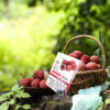 LANA煙彈冰荔枝口味LANA煙彈藍莓口味,,lana,lana電子煙,lana主機,lana口味,lana推薦,lana煙彈,lana糖果,lana電子菸,lana電子菸主機,lana口味推薦,lana購買,lana菸彈,lana拋棄式,lana六代主機,lana官網,lana拉娜,lana拉娜電子煙,lana拉娜煙彈,拉娜,拉娜主機,拉娜電子煙,悅煙桿,拉娜電子菸,lana拉娜煙彈,lana拉娜主機,lana 6代,拉娜六代,電子煙,糖果,電子煙官網,電子菸購買,拋棄式電子菸 LANA煙彈冰荔枝口味LANA煙彈藍莓口味,,lana,lana電子煙,lana主機,lana口味,lana推薦,lana煙彈,lana糖果,lana電子菸,lana電子菸主機,lana口味推薦,lana購買,lana菸彈,lana拋棄式,lana六代主機,lana官網,lana拉娜,lana拉娜電子煙,lana拉娜煙彈,拉娜,拉娜主機,拉娜電子煙,悅煙桿,拉娜電子菸,lana拉娜煙彈,lana拉娜主機,lana 6代,拉娜六代,電子煙,糖果,電子煙官網,電子菸購買,拋棄式電子菸