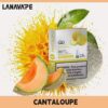 lana煙彈哈密瓜口味 lana煙彈哈密瓜口味