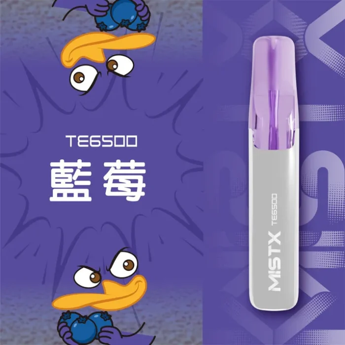 MISTX-TE6500-藍莓